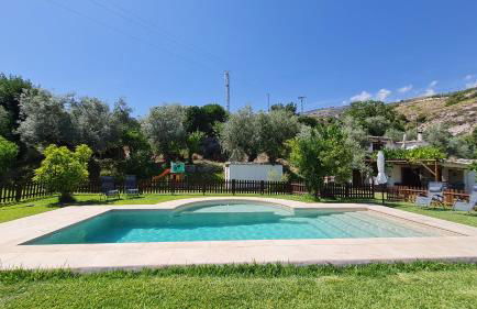 Tropical Studio - Foto 38