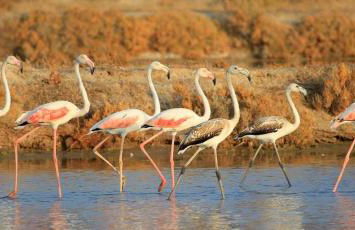 Ignatia's house - Photo 20