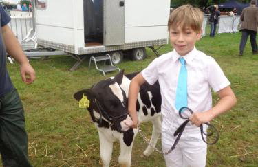 Swallow Cottage - Foto 41