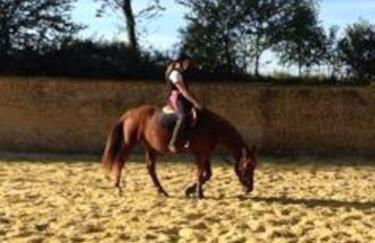 Domaine de Valmeray Gîte - Foto 6