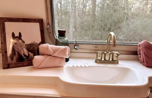 The Giddyup Getaway at The River Haven Sanctuary - Foto 27