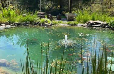 Avenue of the Giants River View Home (#1) - Foto 28