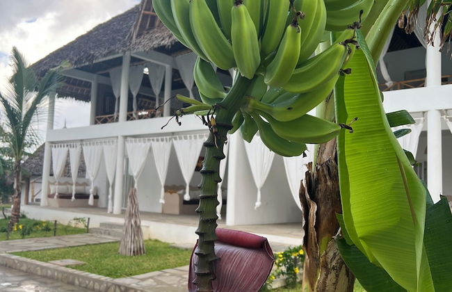 Rafiki Tamu Residential Resort - Foto 78