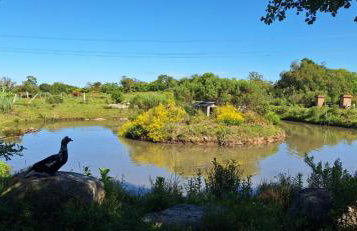 Rancho Bela Vista - o seu recanto em Pelotas - Foto 51