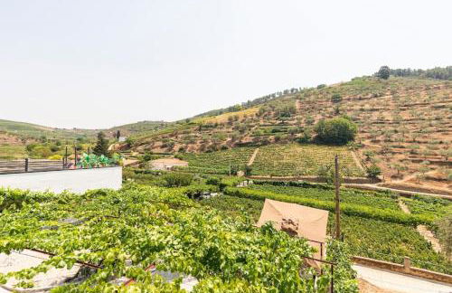 Valadouro Cottage Douro Vallée - Foto 12