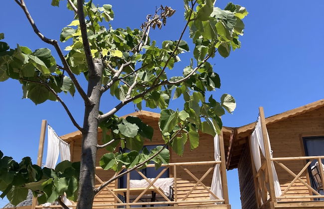 FNM LUXURY BUNGALOVS - Photo 13