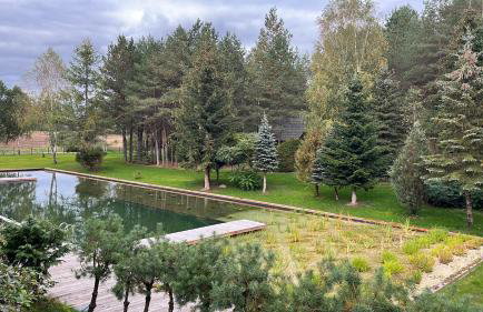 Raj na Kaszubach - Pałubicka Bór - Domy na Wynajem - Foto 43