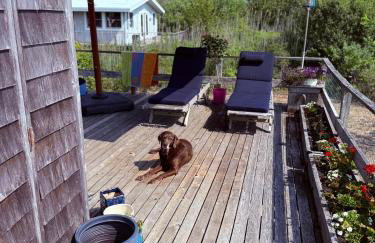 Davis Park Fire Island Retreat - Foto 9