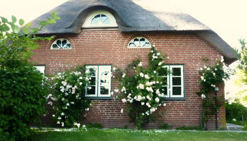 Ferienhaus Osterdeich - Foto 2