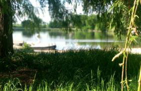 TRABI- Bungalows am Naturteich - Foto 19