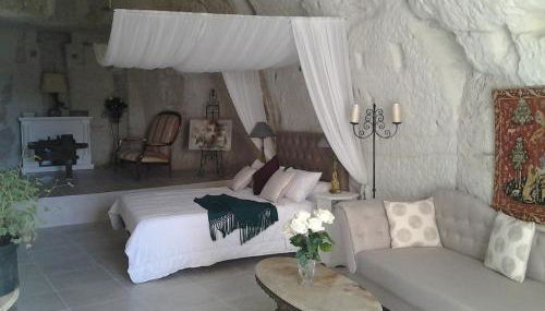 Manoir des Roches 41 - Photo 3