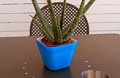 Blu Vacanze Apartments - Foto 27