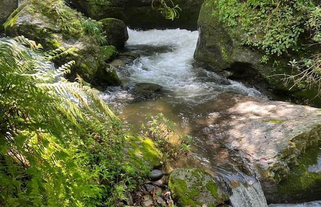 Prakriti Resort and Organic Farm - Foto 27