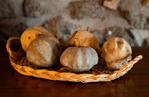 Marbel Gandolfo - Foto 45