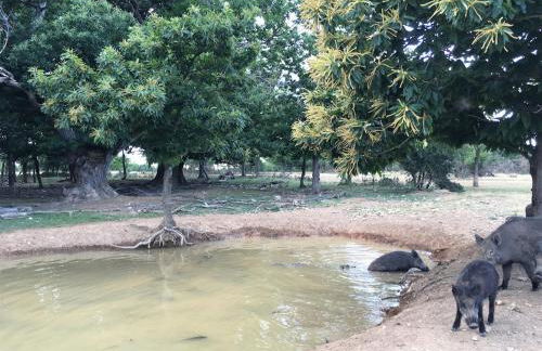 La Bastide du Père Marius - Foto 8