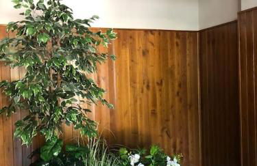 Rosymarty Apartment-vicino Firenze - Foto 48