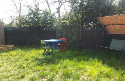 Ulivo Della Querce - Foto 7