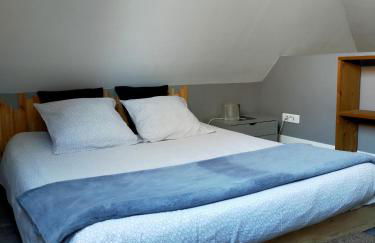 spéculoos et chicorée - Foto 22