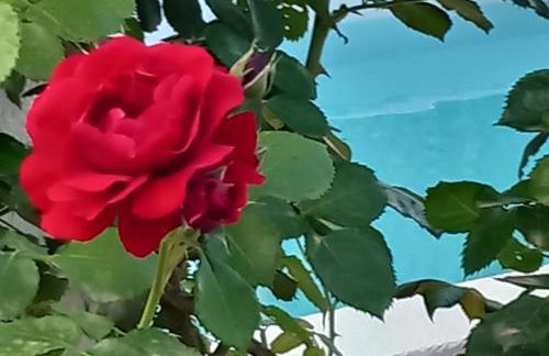 MASSERIA INCANTAMENTO Suite Bouganville - Foto 23