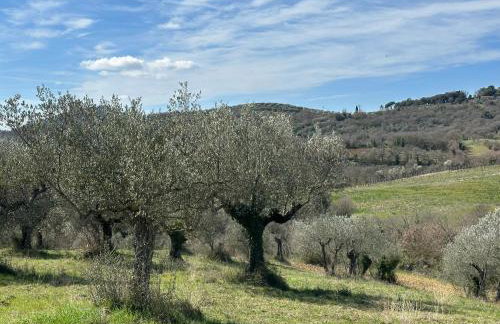 Villa Amici Apartment - Photo 28