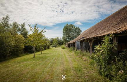 La Grande Pommeraie - Foto 57