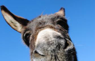 Casale Santa Rosalia Charme Villas and Rooms - Foto 57