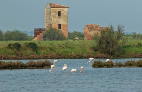 Beach holiday Delfini - Foto 41