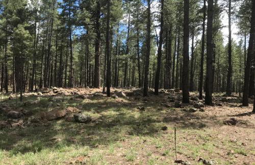 Grand Canyon Cottage at Historic Wrigley Ranch with Horseback Riding & Hiking - Foto 10