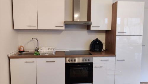 Moderne Neubau Ferienwohnung - Foto 3