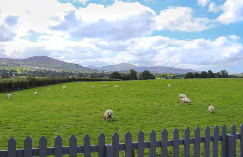 Pencefn Cottage - Photo 8
