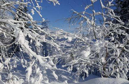 Appartement Verchaix 5min de Samoens Vallée Giffre - Foto 15