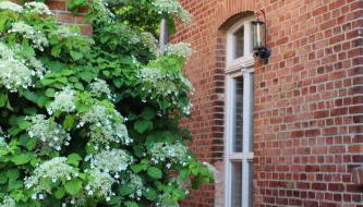 Ferienwohnung Buchholz - Foto 3