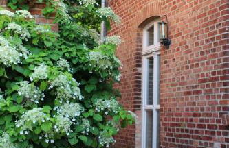 Ferienwohnung Buchholz - Foto 3