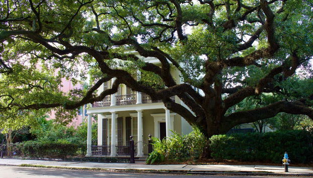 Visite à la Nouvelle-Orléans - Photo 3