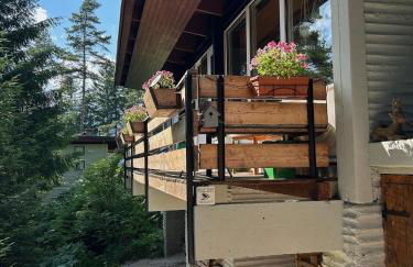 Ca'Mugo, a chalet in the magic woods, near Cortina - Foto 48