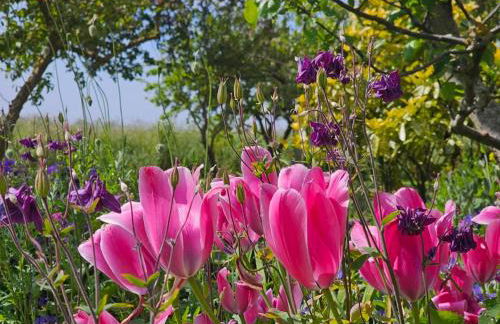 Ferienappartment Nordseenixe - Foto 29