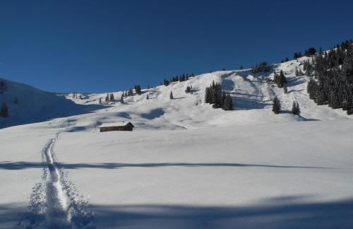 Haus Regina - Foto 17