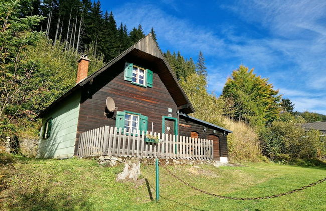 Chalet in the Praebichl ski Area With Sauna - Foto 23