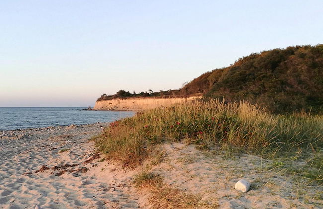 Ferienhaus Klint in Lancken - Foto 28