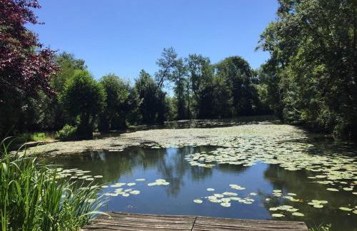 Détente assurée au moulin de papalis - Foto 15