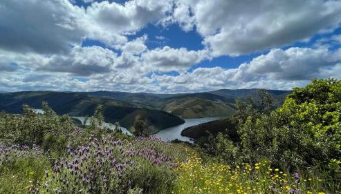 Serradinho Country House - Foto 2