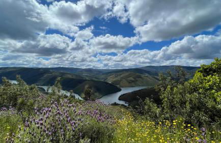 Serradinho Country House - Foto 2