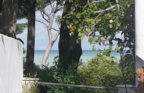 Villa Gianfelici - Foto 31