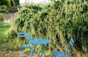 Limora' Tenuta Millaci - Foto 15