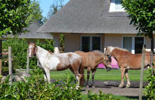 Gartenhaus 3, inkl 1 Parkplatz - Foto 11