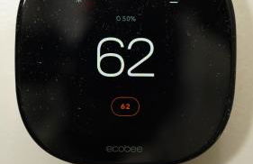 A Cabin in the City with a 5 Star Lush Backyard - Foto 71