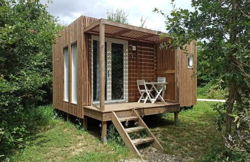 Studnature - Dunes - Foto 17