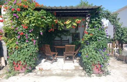 Cueva de la abuela - Foto 31