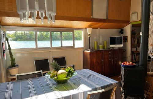 Péniche atypique - 13 min de Paris - Loft privée - Foto 10