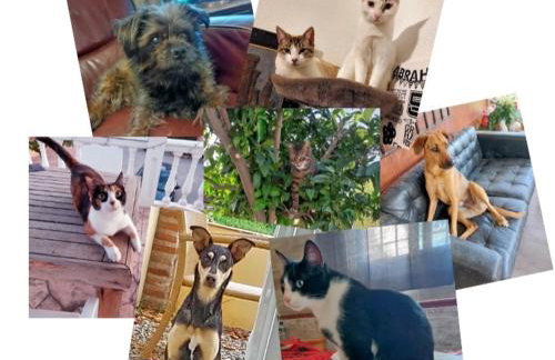 Stacaravan el toro Alhaurin - Photo 14